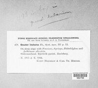 Image Associated With the Occurence